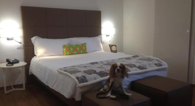 Номер Deluxe Hotel Piero Della Francesca