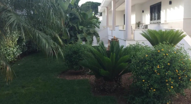 Номер Standard Villa Sterlizia