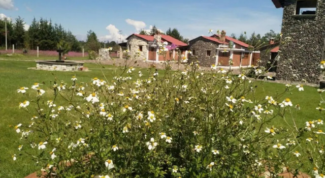 Cabañas El Pedregal, Book Hotel Huasca De Ocampo Hidalgo