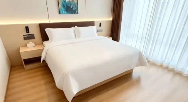 Люкс Premier Long Huayong Meizhu Hotel