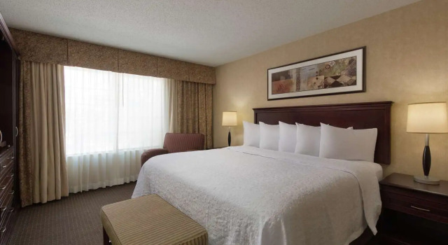 Dwuosobowy suite Embassy Suites Lubbock