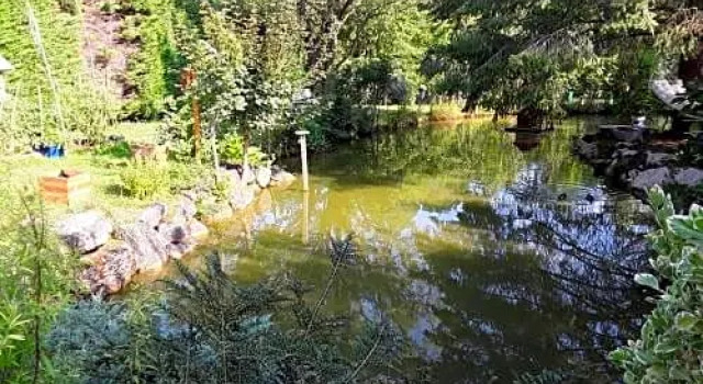 La mare aux canards, Book Hotel Montluel 