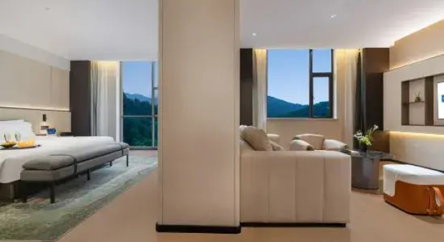 Люкс Chongqing Beibei Wyndham Hotel