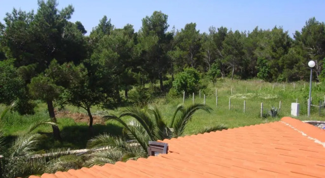 Апартаменты c 1 комнатой Apartments Villa Andreja