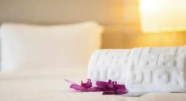 Deluxe cameră Hotel Dion