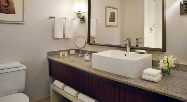 Двухместный номер Deluxe Hyatt Regency Saint Louis at The Arch