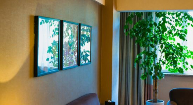 Люкс Zhongnan Sunshine Hotel
