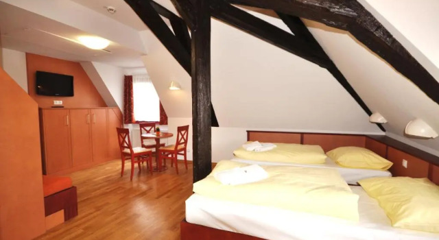 Двухместный номер Standard JUFA Hotel Meersburg am Bodensee