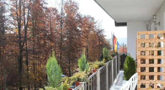 Двухместный номер Standard Pension Walddorf