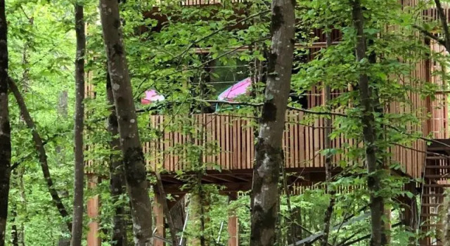 Loire Valley Lodges - Hotel, Book Hotel Esvres Centre