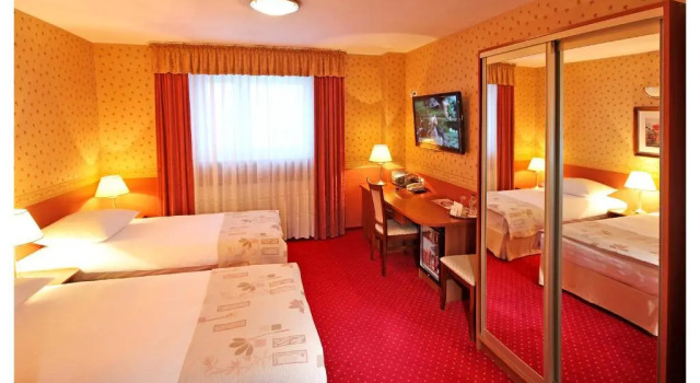 Номер Standard Hotel Janusz