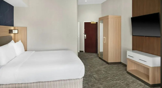 Люкс SpringHill Suites by Marriott Lansing West