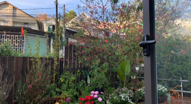 Коттедж The 1954 House