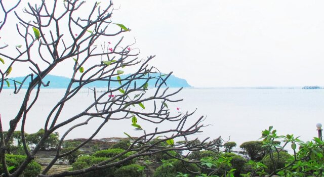 Tamarina Resort