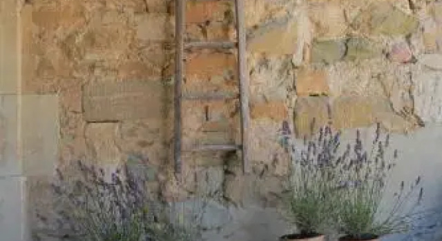 Les Yourtes de Provence
