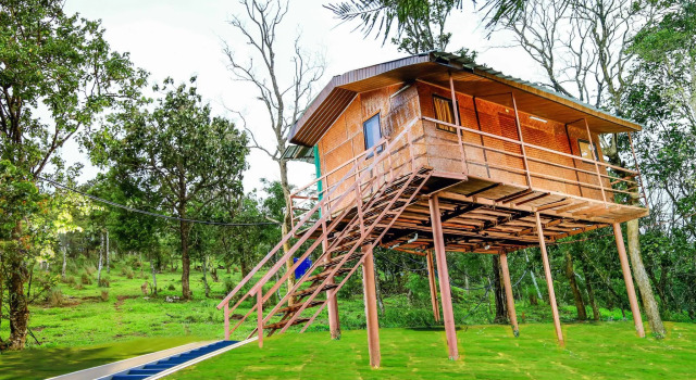 Коттедж Punarjani Ayurvedic Resorts