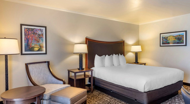 Двухместный номер Standard Best Western Plus Royal Oak Hotel