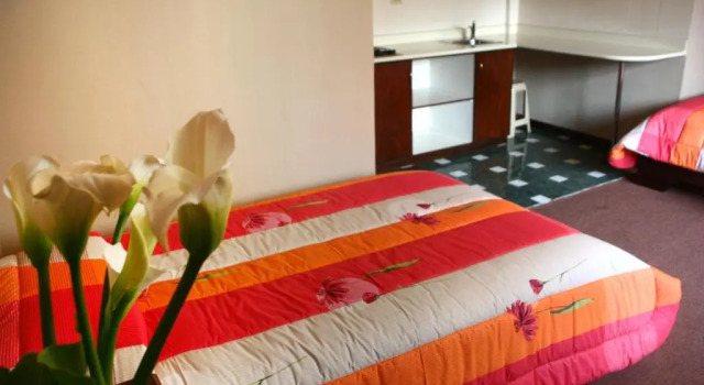 Трёхместный номер Standard Hotel Rio Piedra