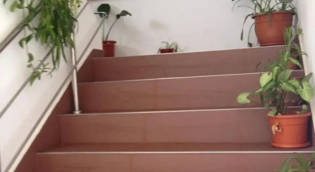 Pensiunea Dariana, Đặt Khách sạn Khách sạn 3 sao ở Lugoj, 3*