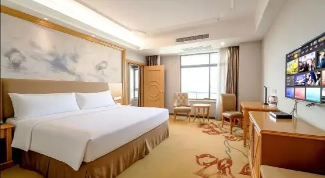 Люкс Deluxe Vienna Hotel Guangxi Nanjing Nanhu Park