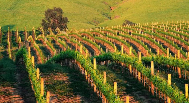 Студия Best Stay in Napa at Silverado, 40% OFF, Netflix
