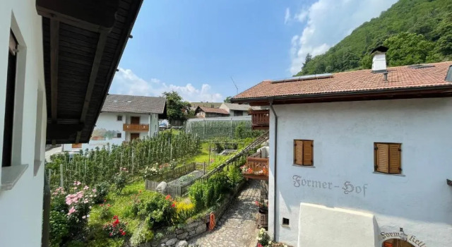 Номер Standard Garni-Hotel Farmerhof