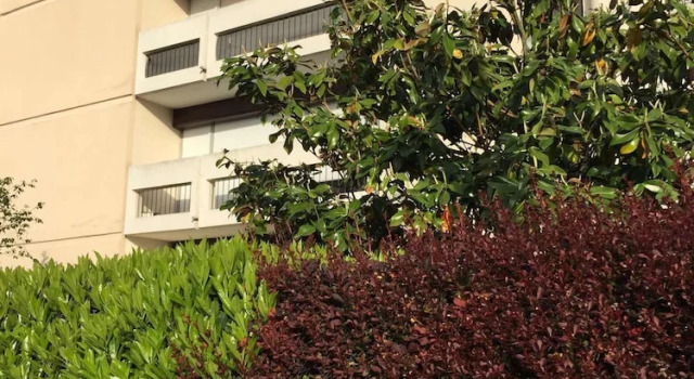 Grand-Apart T3 : Nanterre