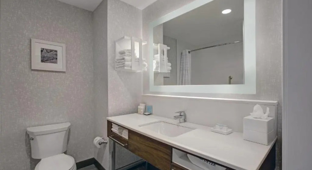 Люкс Hampton Inn & Suites By Hilton Waterloo St. Jacobs