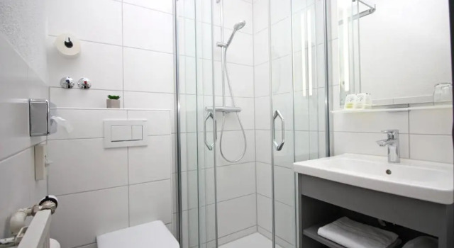 Одноместный номер Standard Hotel Schiff am See