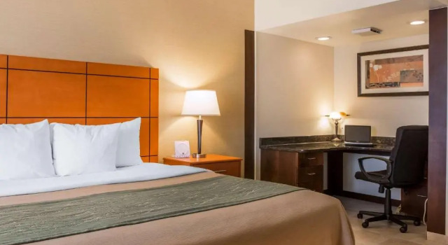 Двухместный номер Executive Comfort Inn Metro Airport