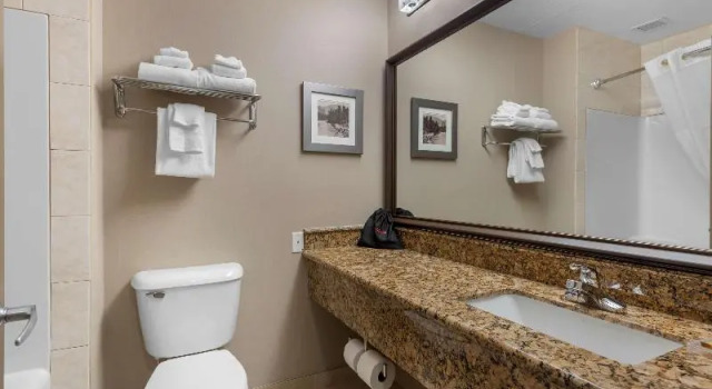 Двухместный люкс с балконом Best Western Plus Fernie Mountain Lodge