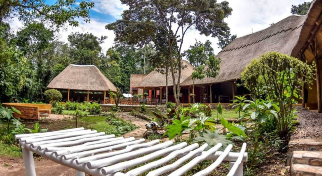 Primate Lodge, Buchen Sie Hotel Nationalparks Westuganda 