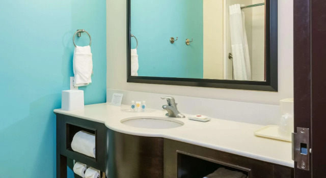 Двухместный номер Standard Comfort Suites Lake City