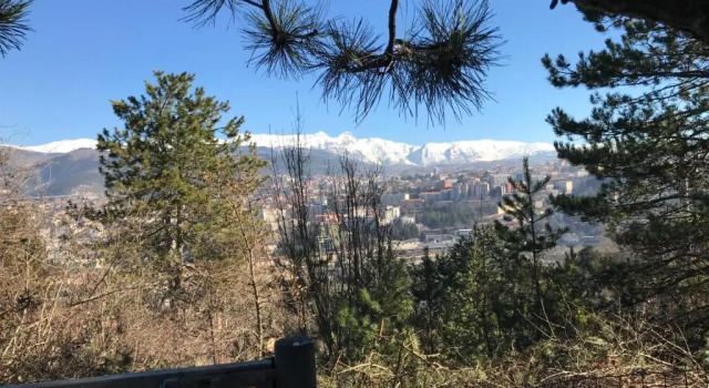 Шале Casa vacanza Chalet Baita nel Bosco