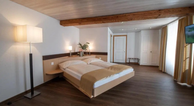 Двухместный номер Standard Hotel zum goldenen Kreuz