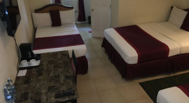 Трёхместный номер Deluxe Executive Airport Hotel