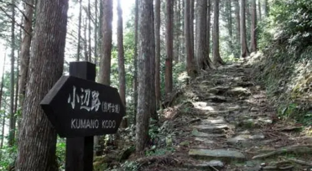 Totsukawa Onsen Minshuku Matsunoya, Prenota Hotel Totsukawa Nara