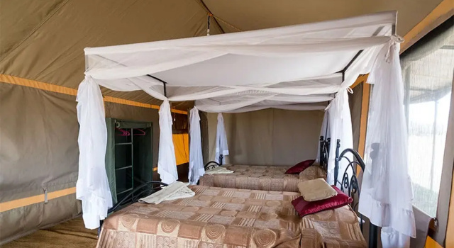 Трёхместный номер Standard с видом на горы Serengeti Wild Camps
