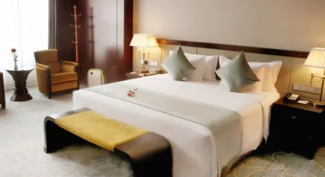 Двухместный люкс Executive Pullman Jinhua