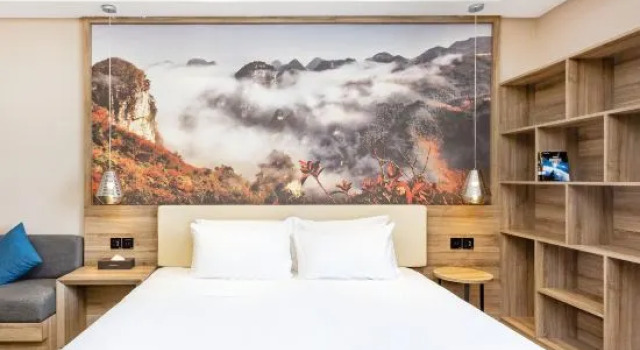 Люкс Bijie Hongyin Hotel