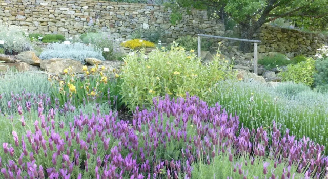 Двухместный номер Deluxe с видом на сад Les Jardins de lAbbaye