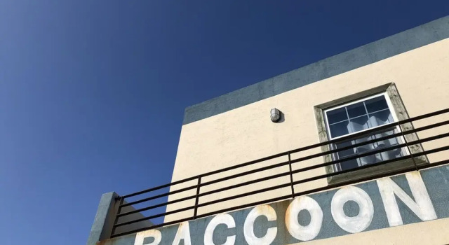 Raccoon House