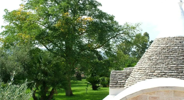 Номер Standard Masseria Cappuccini