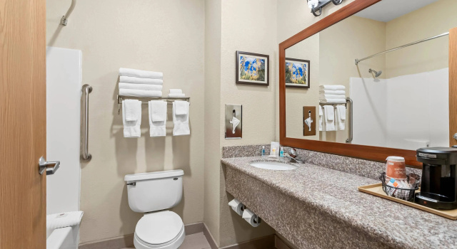 Четырёхместный люкс Comfort Inn & Suites Midtown