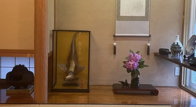 Номер Economy Guest House Chara
