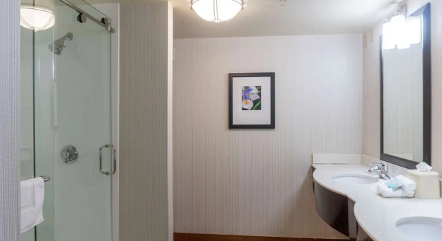 Полулюкс Hilton Garden Inn Plymouth