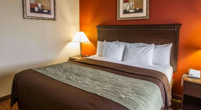 Номер Standard Comfort Inn Phoenix Central City