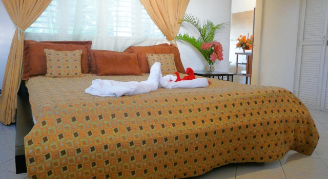 Номер Superior VLC Guesthouse Sosua