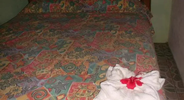 Номер Standard Hotel Salvador Gaviota
