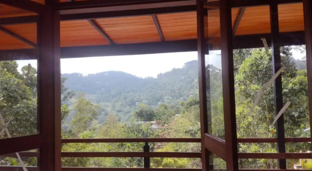 Номер Standard Cozy Homestay